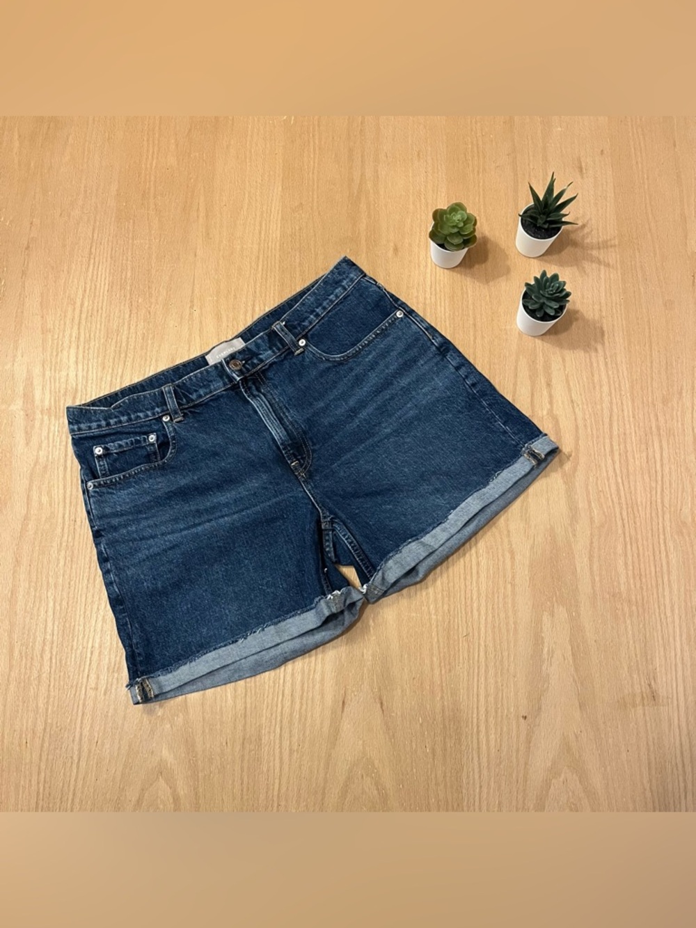 Everlane The Denim Shorts Relaxed Fit with Raw Edge and Cuffed Hem in size 32